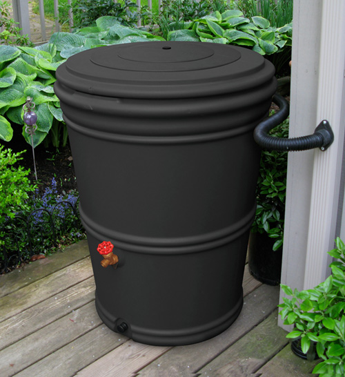60 Gallon Recycled Rain Barrel