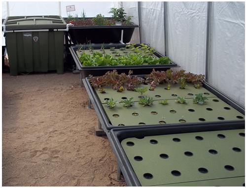 Sanctuary 64 LS Aquaponics System With 64 Sq Ft Of Grow Space