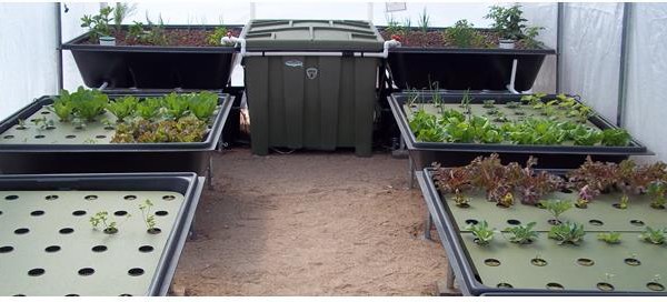 Sanctuary 96 US Aquaponics System With 96 Sq Ft Of Grow Space